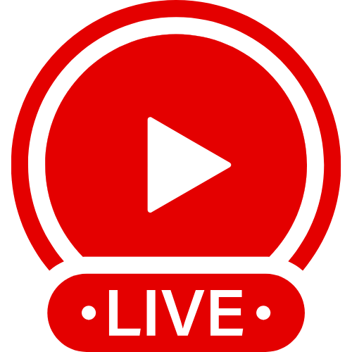 Desnudas Vivo | Live Webcam Shows & Interactive Adult Entertainment